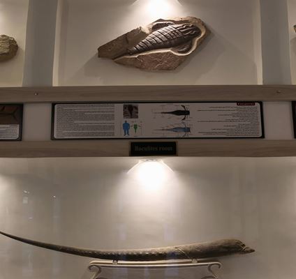 Ýäzdiň Kambrin muzeýi, 150 million ýyl mundan öň deňizleriň çuňlugyna syýahat
