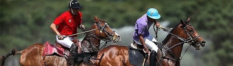 Hamza Ilhanizade we onuň Eýranyň çowgan sportynyň ösüşi üçin eden tagallalary